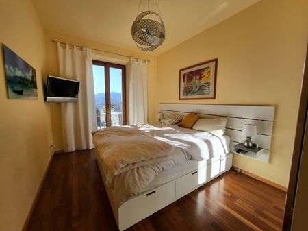 2.5 rooms with lake view in small setting with swimming pool (also short term) - Photo 5