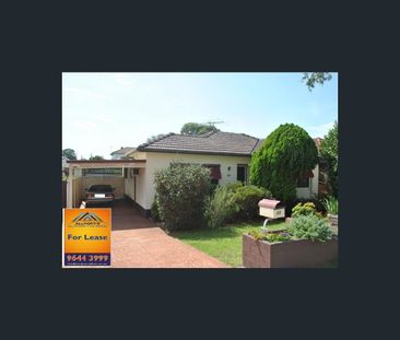 49 Campbell Hill Road, Chester Hill, NSW 2162 - Photo 4