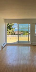 2 BEDROOM NEWLY RENO'D PENTHOUSE STUNNING OCEAN VIEW IN KITSILANO - Photo 4