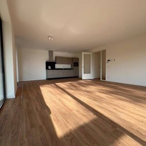 Roerdomplaan - Foto 2