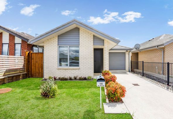 14 Huamanu Street, Pukekohe, Auckland - Photo 1