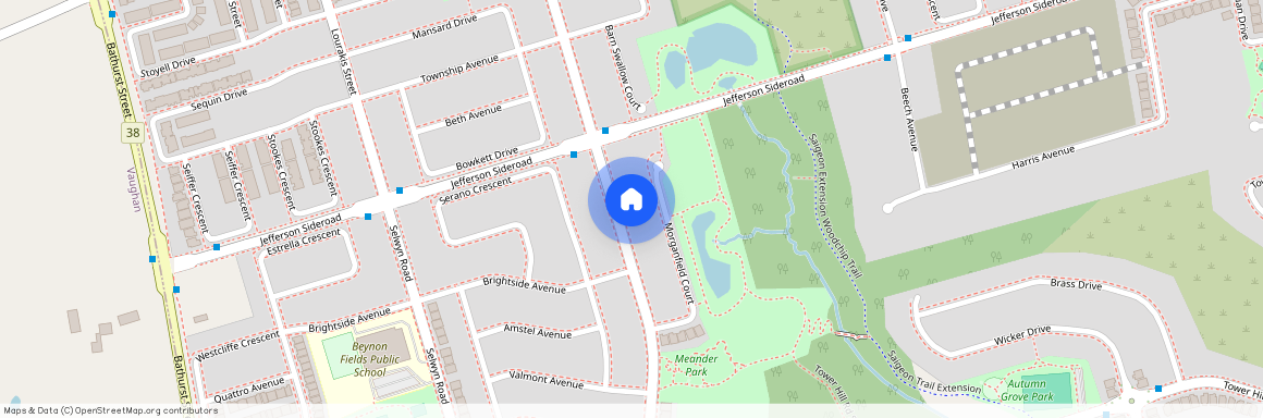 141 Alpaca Drive, Richmond Hill