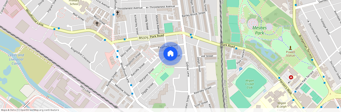 Birch Street, Springfield, Wigan, WN6 7EB