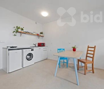Pronájem bytu 1+kk (38 m²) Podolí - Fotografie 2