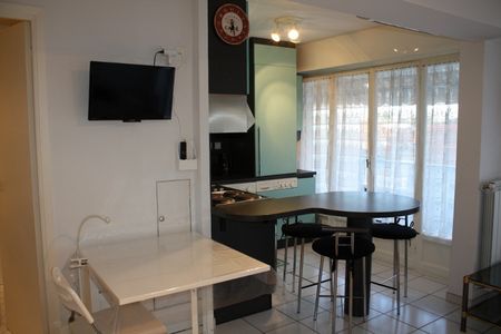 DRAGON Lanterne - DISPONIBLE LE 9 JANVIER 2026 - Photo 2