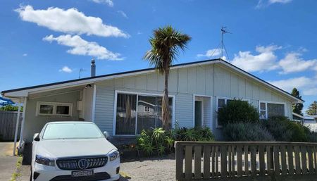 Newly Renovated Family Home in Central Paraparaumu - Photo 5
