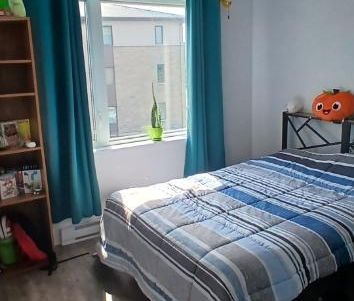 Grand 41/2 style condo - droit au chien, aout ou sept. - Photo 3
