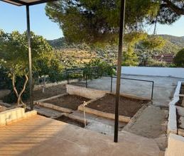 Μονοκατοικία για ενοικίαση - Σαλαμίνα, - Photo 6