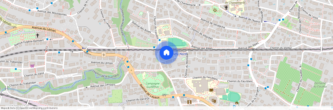 Chemin du Liaudoz 46, 1009, Pully