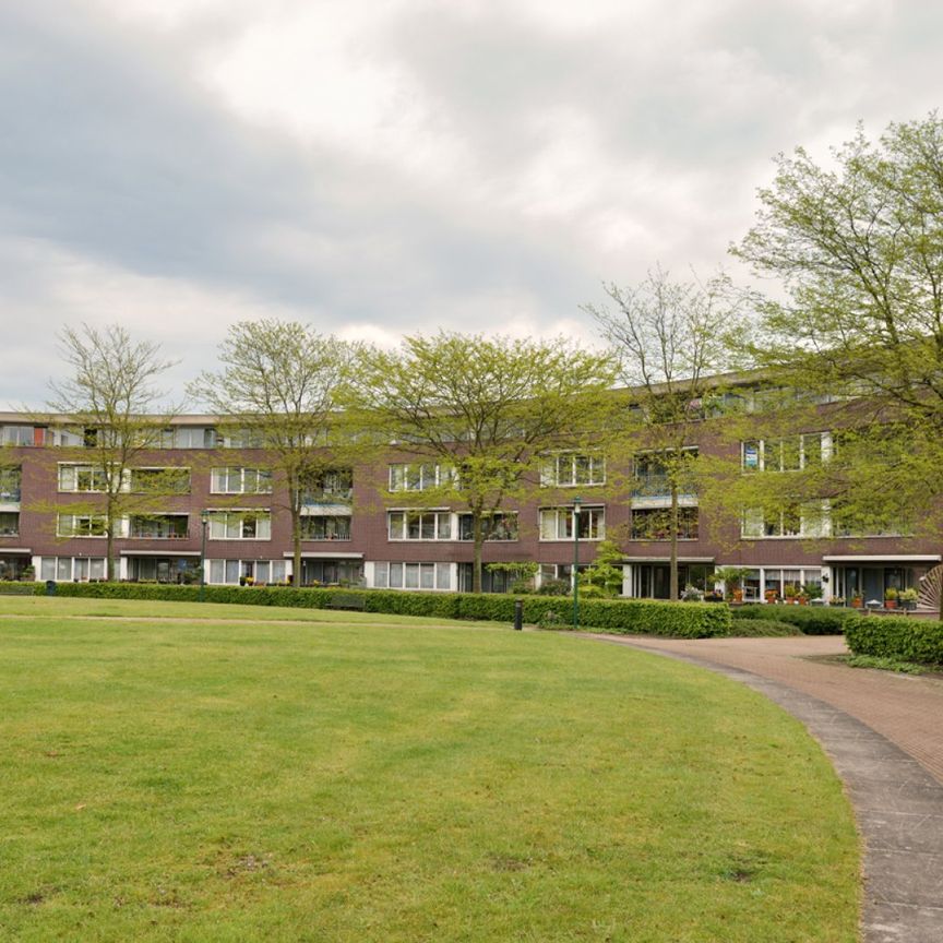 Te huur: Kruisstraat 49 - Photo 1