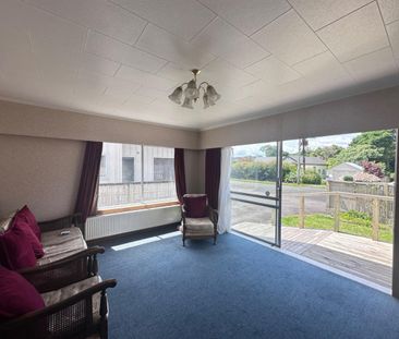 100 Young Street, City Centre, New Plymouth - Photo 1