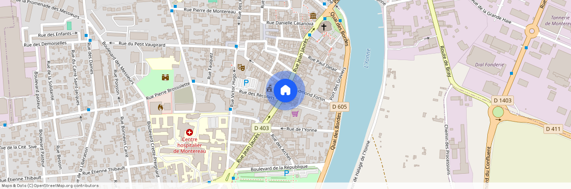 MONTEREAU FAULT YONNE (77130)