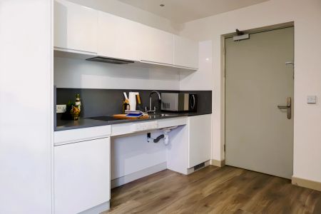 Platinum Studio Lower Level - Photo 3