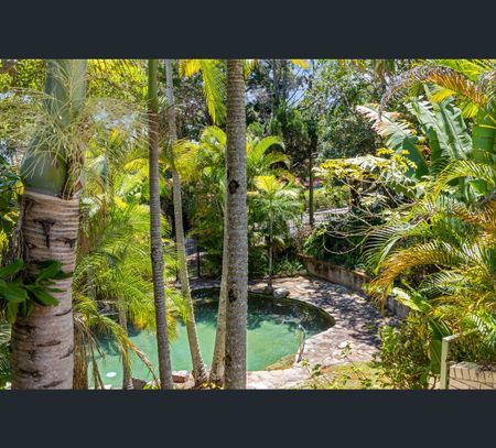 Unit 1/9 Angler St, Noosa Heads, Qld 4567 - Photo 4