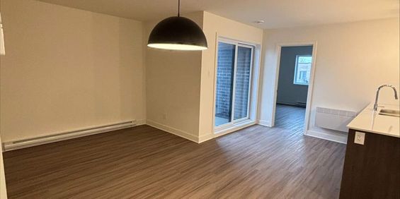 3 CH - 1 SDB - Saint-Hyacinthe - $1,650 /mo - Photo 3