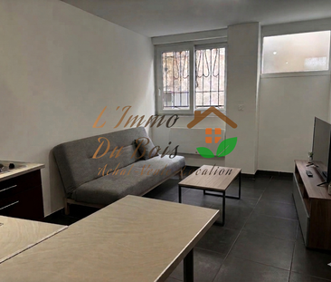 Location Appartement 1 pièce 25m² VIENNE 38200 - Photo 1