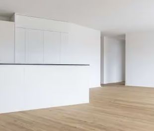 3.5 Zimmer, 120 m² - Foto 1