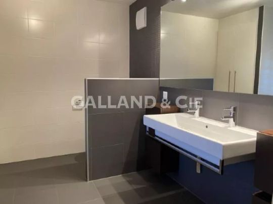 Appartement moderne de 5½ pièces avec jardin, cheminée et cave à vin - Photo 1