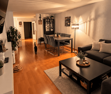 Gemütliche und günstige 2.5 Wohnung für Singles oder Paare (Haustie... - Photo 1