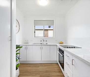 2/161 Bilba Street, East Albury NSW 2640 - Apartment For Rent | Domain - Photo 2