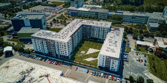 2 CH - 1 SDB - Montreal - $2,200 /mo - Photo 3