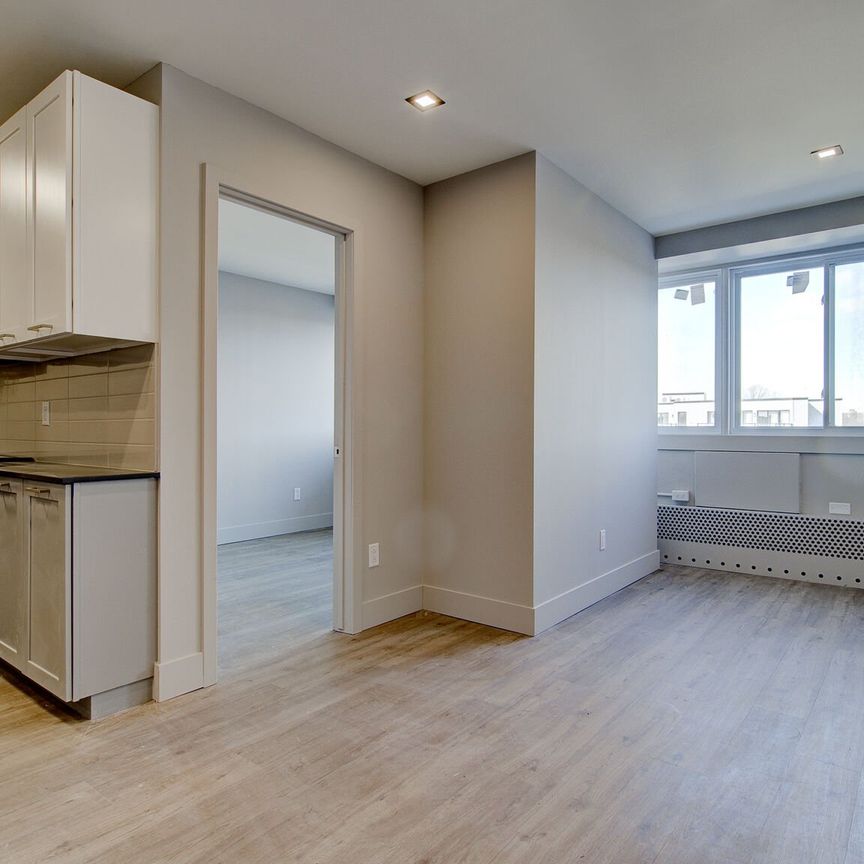 Appartement à louer, Montréal (Côte-des-Neiges/Notre-Dame-de-Grâce) - Photo 1