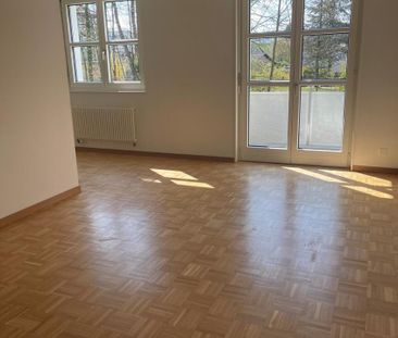2.5 Zimmer, 53 m², 1. Stock - Foto 1