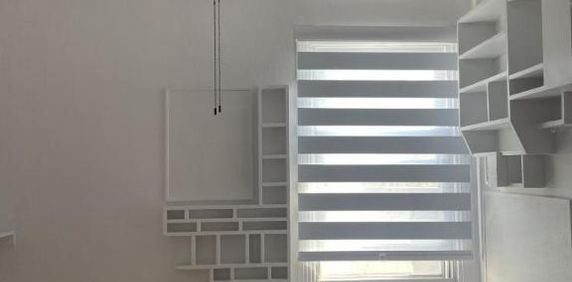 1 1/2 - Montréal (Le Plateau Mont-Royal) - 900 $/mois - Photo 2