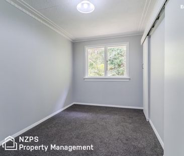 41 Montague Street, North East Valley - Photo 4