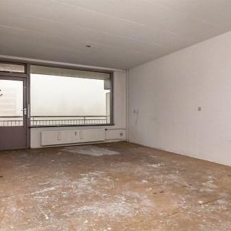 Groenhof, 1186 DL Amstelveen, Nederland - Foto 4