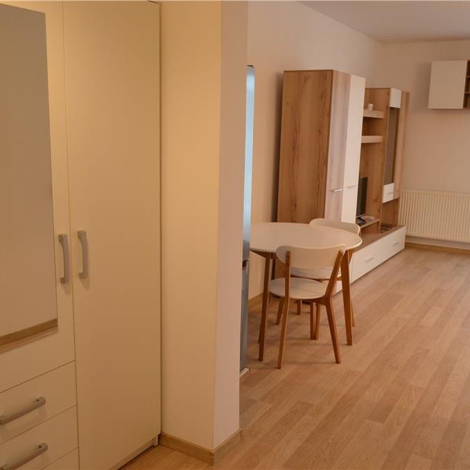 Ap. Nou 1 Camera si Parcare Privata de Inchiriat Green Resid - Fotografie 1