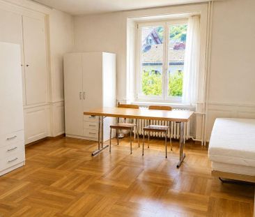 Freistehendes Einfamilienhaus mit grosszügigem Garten in Luchsingen - Photo 3