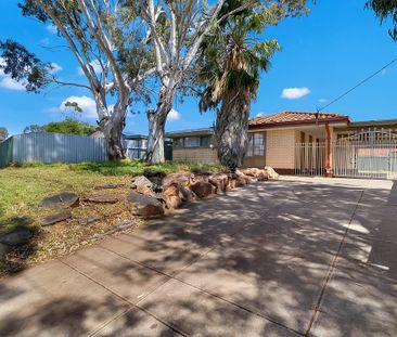 Room To Move! - Photo 6