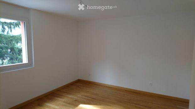 3.5 Zimmer, 95 m² - Photo 1