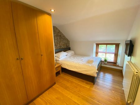 Cae Banc, Sketty, Swansea, SA2 - Photo 4