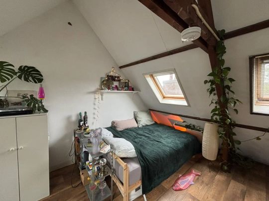 Chambre meublée Vleutenseweg, Utrecht - À louer - Photo 1