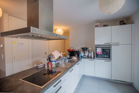 Chemin du Rionzi, 45, Le Mont-sur-Lausanne, 1052, VD, CH - Photo 5