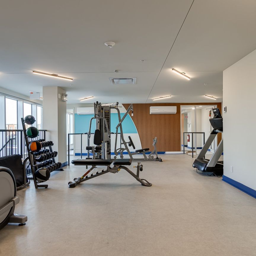 Condo for rent, Montréal (Saint-Laurent) - Photo 1