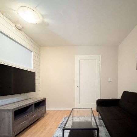 Available November 1st - Pet Welcome Furnished 1 Bedroom @ 935 Jervis - Photo 1