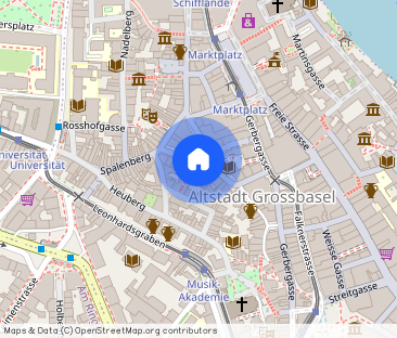 Apartment house in the heart of Basel's old town - Photo 1