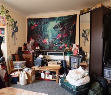 2 Double Rooms to let in Flat share, 10 min walk to Talbot Campus - Photo 5