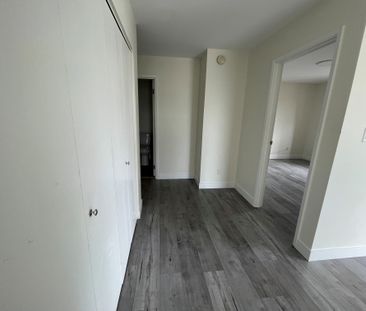 Newer Renovation 1 Bedroom Apartment - Photo 3