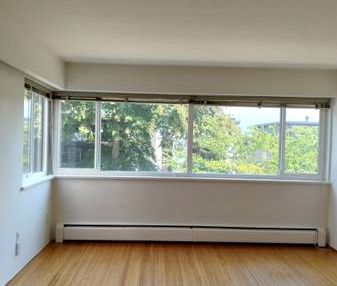 Lovely Kits studio + Den with great view ( 5 minute walk to the beach) - Photo 1