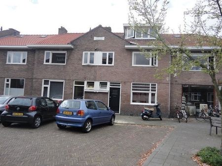 Klimopstraat - Foto 5