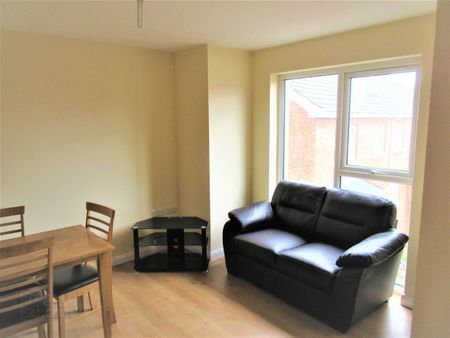 Great Apartment, 101a Rugby Avenue, Queens University Quarter, Belfast - Photo 2