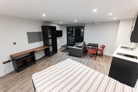 Studio Flat, Low Hill, L6 - Photo 5