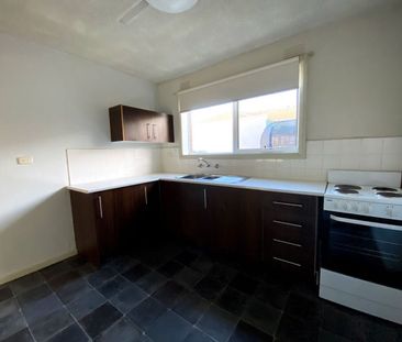 Large Updated Apartment - Photo 4