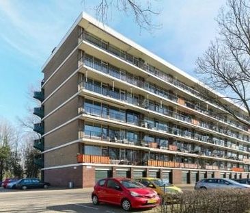 Matenalaan 0ong, 6825 DG Arnhem, Nederland - Foto 1