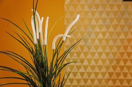 Carrer de Vic, Barcelona, Catalonia 08006 - Photo 4