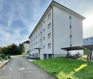 Frick / 3.5-room apartment No. 8 - Photo 3